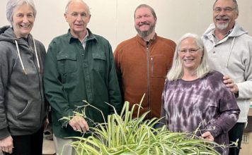 Legacy of the Little Falls Greenhouse continues to grow with new owner | Morrison County Record