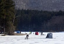 Gene Chague | Berkshire Woods and Waters: Conservationists unite to help MassWildlife | Sports