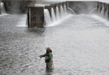 Bristol voted in the Top 10 list of best places to fish in the winter | Latest Headlines