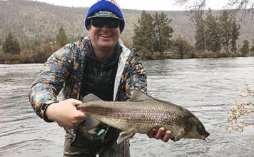 Oregon angler catches massive mountain whitefish, sets state record and possible world record | Wire