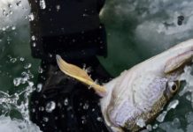 Warriors on ice: Bozeman program takes veterans fishing as move to reintegration | State & Regional