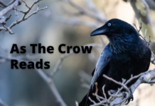 As the Crow Reads: Whiskey When We’re Dry