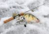 Bluegills, yellow perch kick off ice fishing season: NE Ohio fishing report