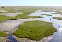 Wednesday Wake-Up Call 10.19.22 – Orvis News