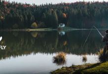 Fish and Wildlife Commission Approves Forest Health Projects, Updates to Fishing Regulations – Dailyfly.com Lewis-Clark Valley Community