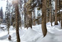 Things to do in Gulmarg this winter