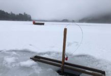Matthew Dickerson: Catching trout part of New Year’s ritual