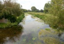 Heathland Garden Village at Lenham will ‘put fishing at risk’ on the Stour