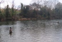 Grayling Blues – Fish & Fly