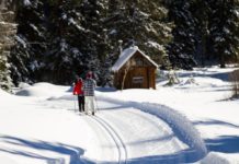 Ski or snowshoe through this 140-year-old Colorado ghost town – The Burlington Record