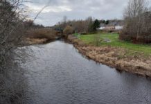 Fishing: 38 miles of new water for anglers to explore in West Lothian