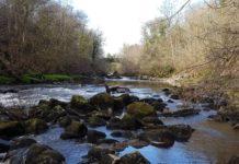 Fishing: why a permit covering mouth of the Almond at Cramond to north of Kirkliston is good value