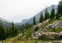 How Montana’s Beaten Path Became My Favorite Hike