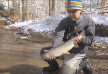 Video: Top 5 Tips for Great Lakes Steelhead