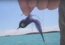 Video Pro Tips: How to Maintain the Ready Position on the Bow of a Flats Boat