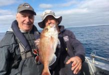 Snapper are drawing anglers to the salt water