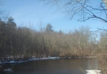 Flyfishing Indoor Fun – InDepthNH.orgInDepthNH.org