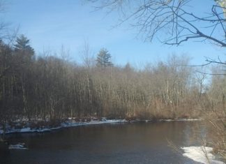 Flyfishing Indoor Fun – InDepthNH.orgInDepthNH.org