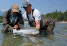 Pro Tips: How to Get a Great Photo and Still Take Care of the Fish