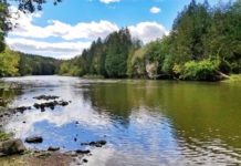 Local neighborhood group started online petition to stop proposed truck bypass over Pierpoint Park