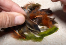 Video: How to Make a Pine-Squirrel Collar