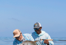 The One That Got Away #3: Permit Pain