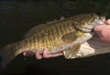 Video: A Plethora of Tips & Tricks from The New Fly Fisher