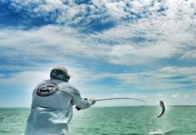 On the Fly: Graduating to saltwater fly fishing