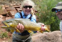 On the Fly column: Hand-held wireless devices