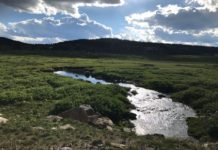 Salomone: 10 fly-fishing resolutions for the new year