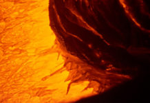 Is the latest ‘Chainsaw Massacre’ worth the time? ‘Rock Bottom Riser’ and ‘Dog’ are surer things