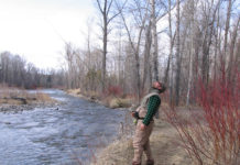 Story: The Agony and the Ecstasy