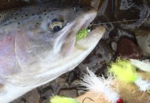 Today’s Sportsman: Jig fly is just the ticket | Frederick County