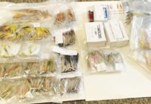 North Country Angling: Signs of spring | Fishing