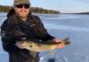 Greg Frey: Walleyes of Walloon | GO