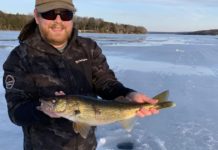 Greg Frey: Walleyes of Walloon | GO