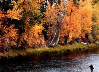 Hamilton hosts virtual fly fishing festival | Local News