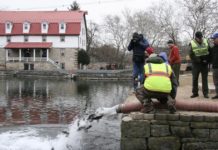 Outdoors: Trout stocking to start next week in Cumberland County | Outdoors