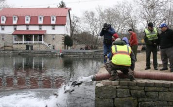 Outdoors: Trout stocking to start next week in Cumberland County | Outdoors