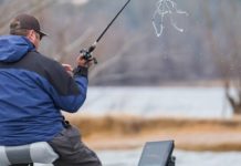 Fish can run but they can’t hide from forward-facing sonar | Sports