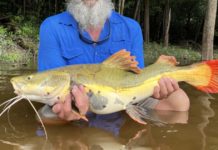Charleston-area anglers cherish challenges of chasing Brazilian peacock bass | Fishing