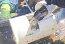 Trout to be stocked throughout county | Local News