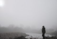 Grayling Greats! – Fish & Fly