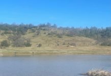 North State fishing report for week of Feb. 6 – Oroville Mercury-Register