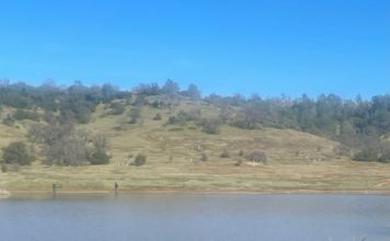 North State fishing report for week of Feb. 6 – Oroville Mercury-Register