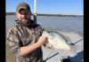 3-Pound, 4-Ounce White Crappie Breaks Georgia Record