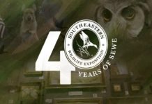 SCHEDULE: Top events happening at the Southeastern Wildlife Expo