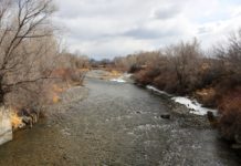 Fly-fishing outfitters come together to support sustainable recreation on the Uncompaghre River — Uncompahgre Watershed Partnership #UncompahgreRiver