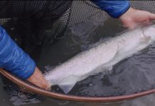 The 2022 Fly Fishing Film Tour Will Make 3 Stops In Wyoming