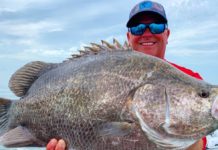 King mackerel coming back to Southwest Florida waters